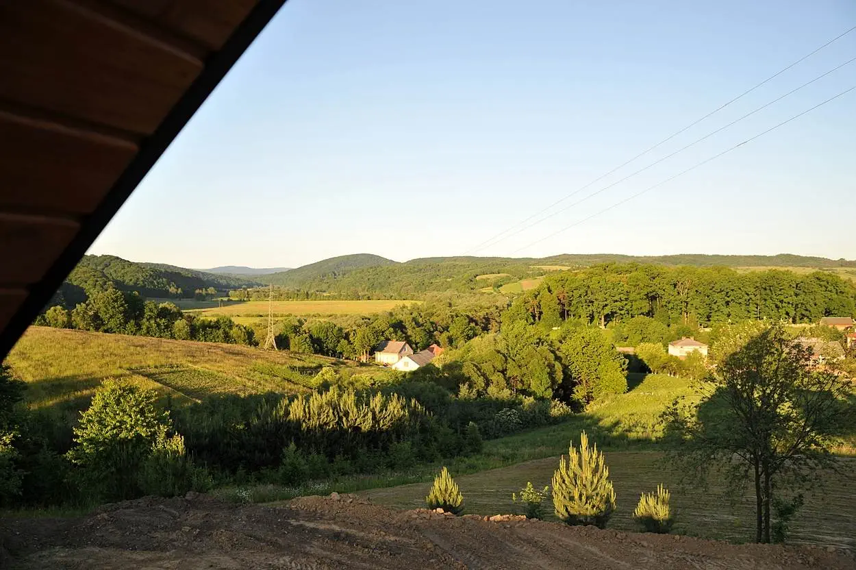_foto054